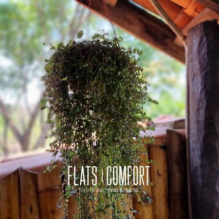 Novidade Flats Comfort Na Vila De Sao Jorge - Chapada Dos Veadeiros酒店 外观 照片